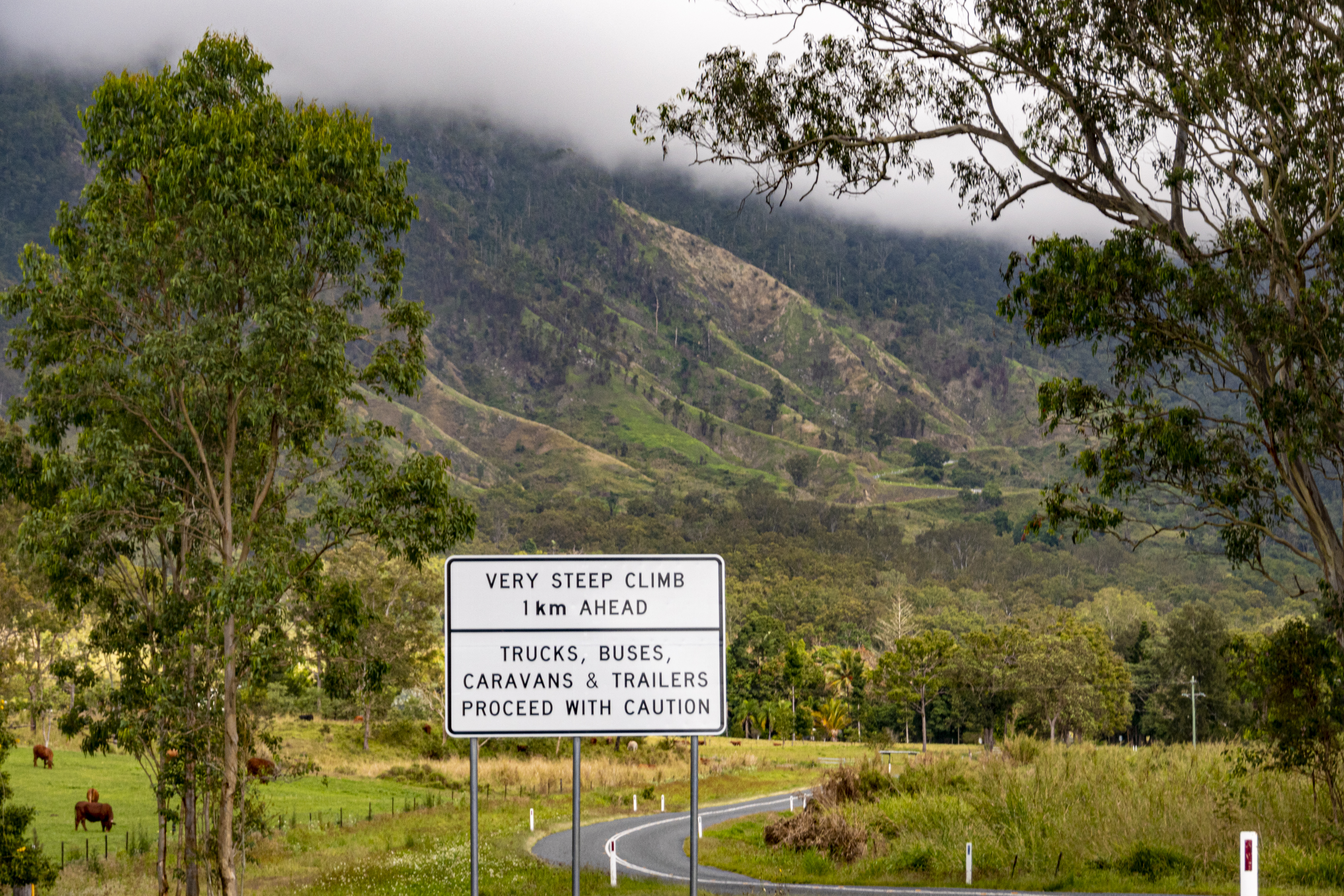Eungella Water Level