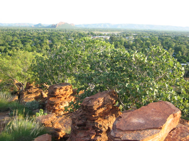 Kununurra Diversion Water Level