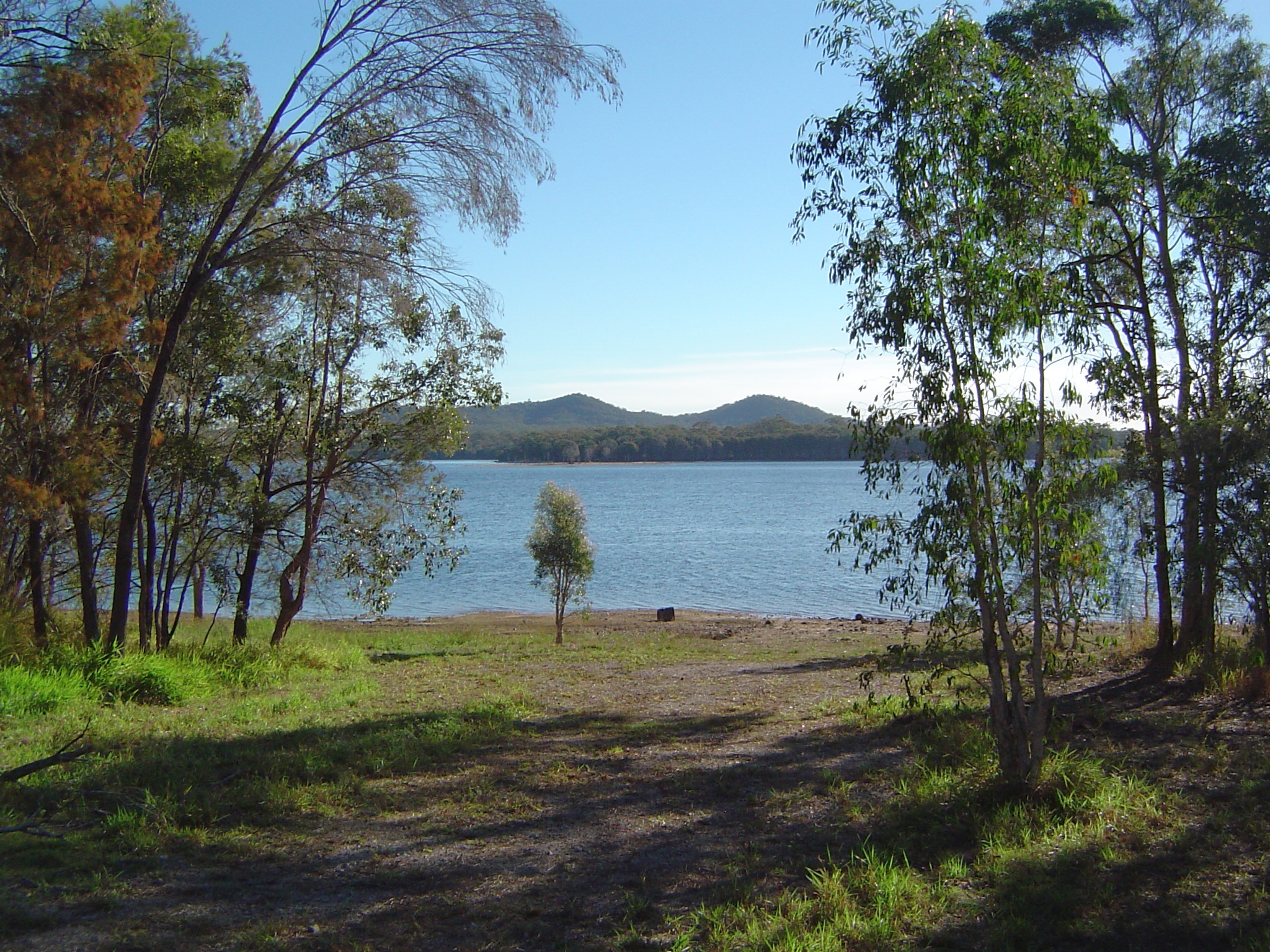 Leslie Harrison Water Level