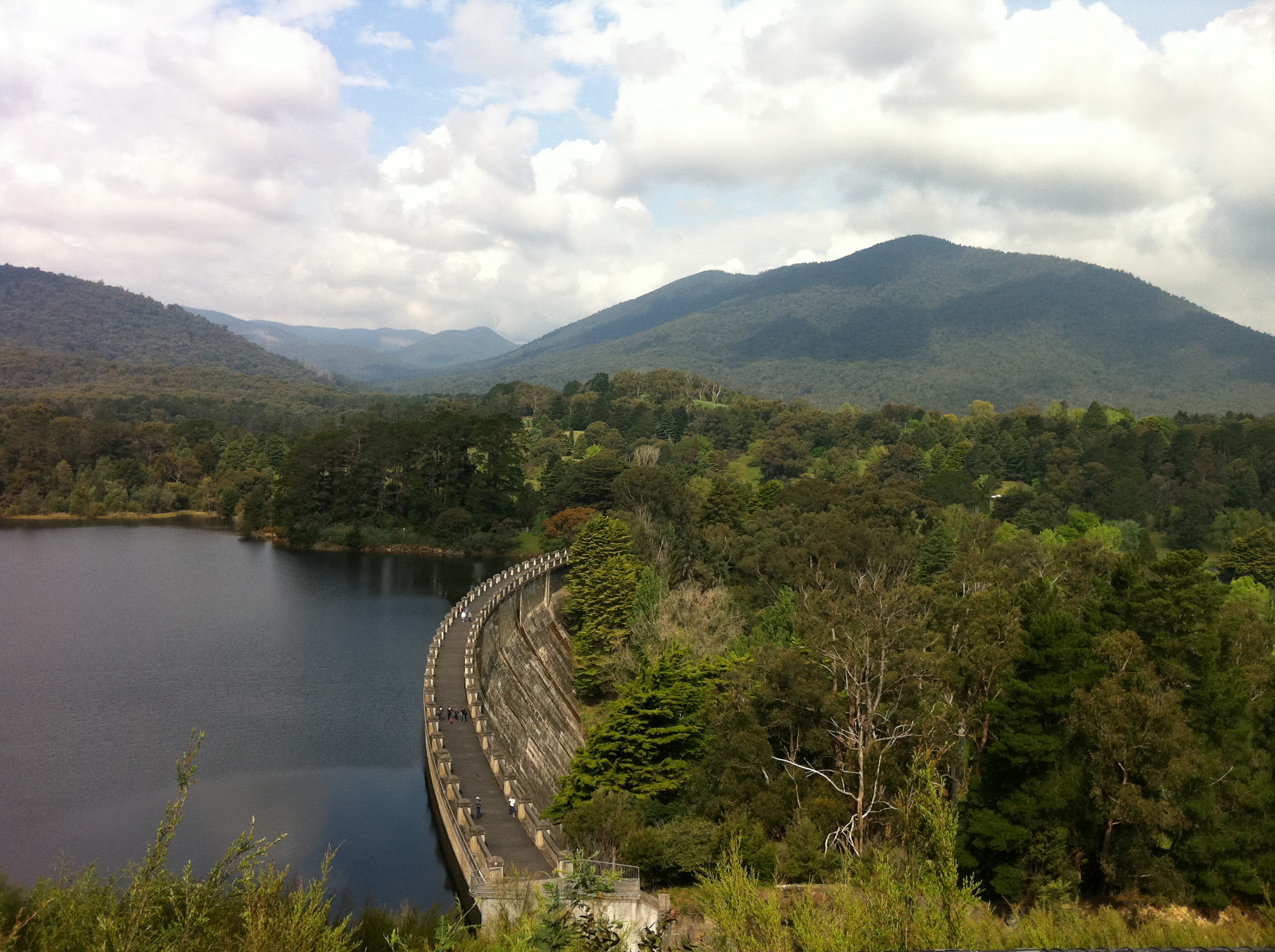 Maroondah Water Level