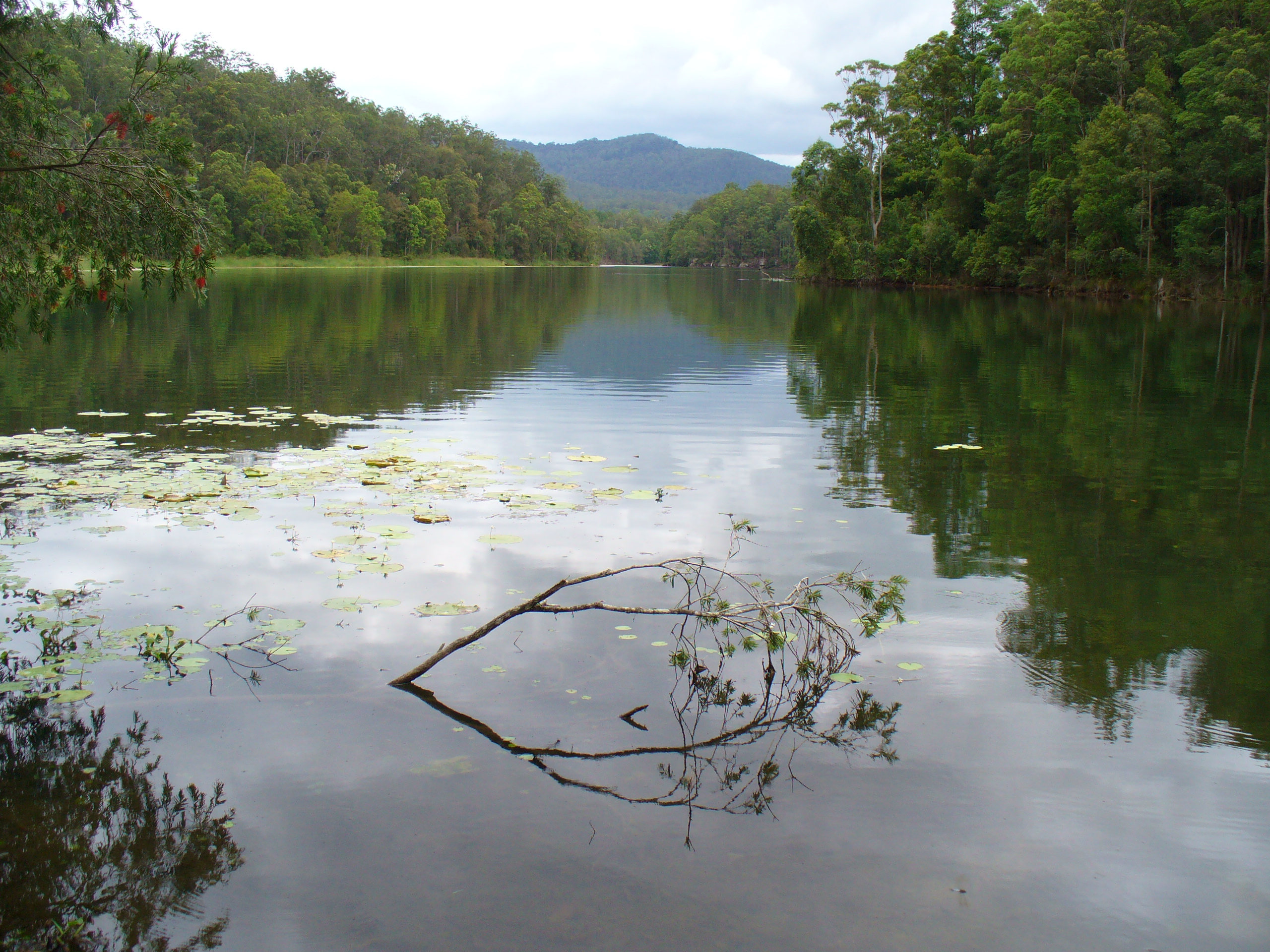 Toonumbar Water Level