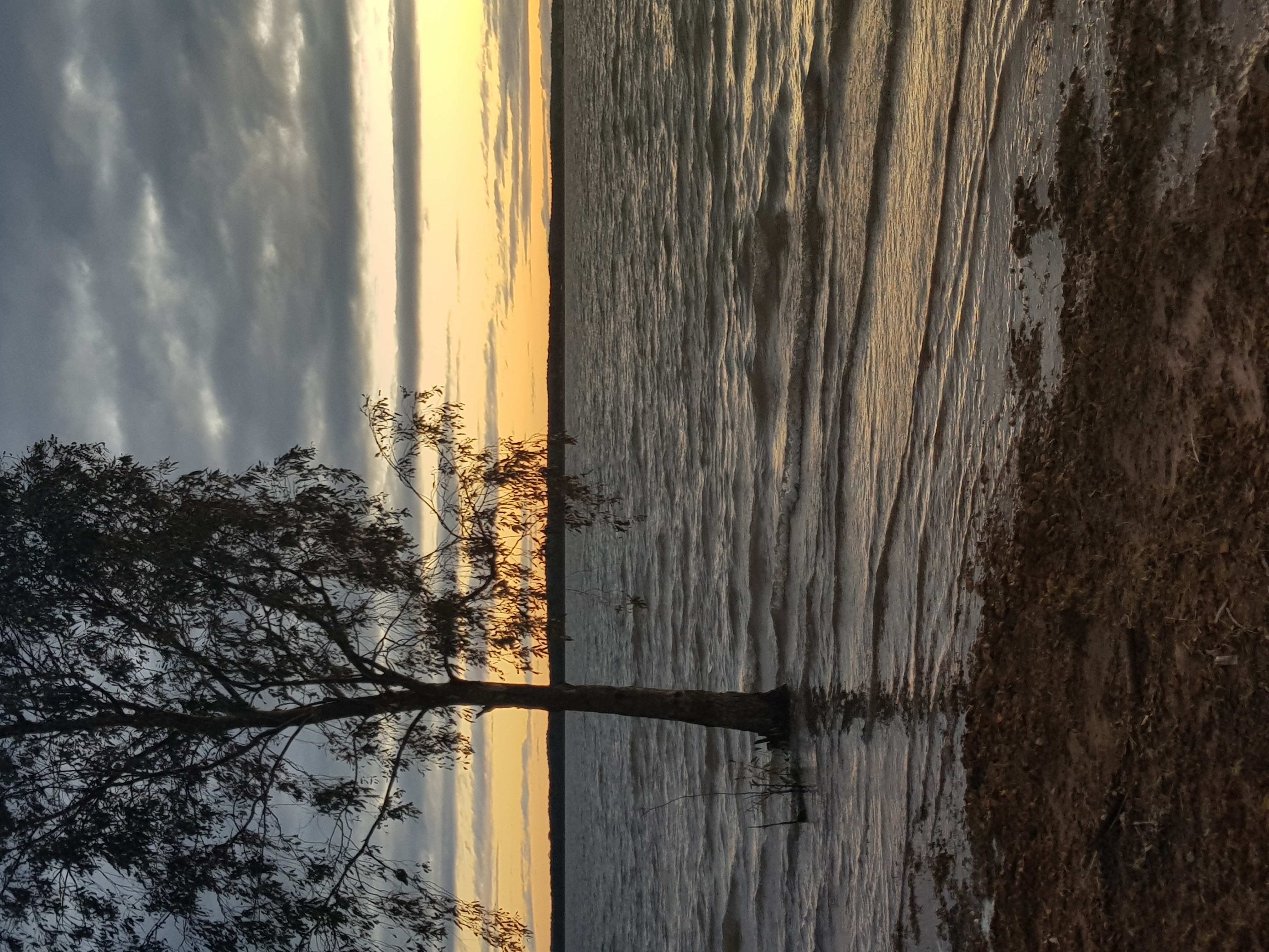 Waranga Basin Water Level