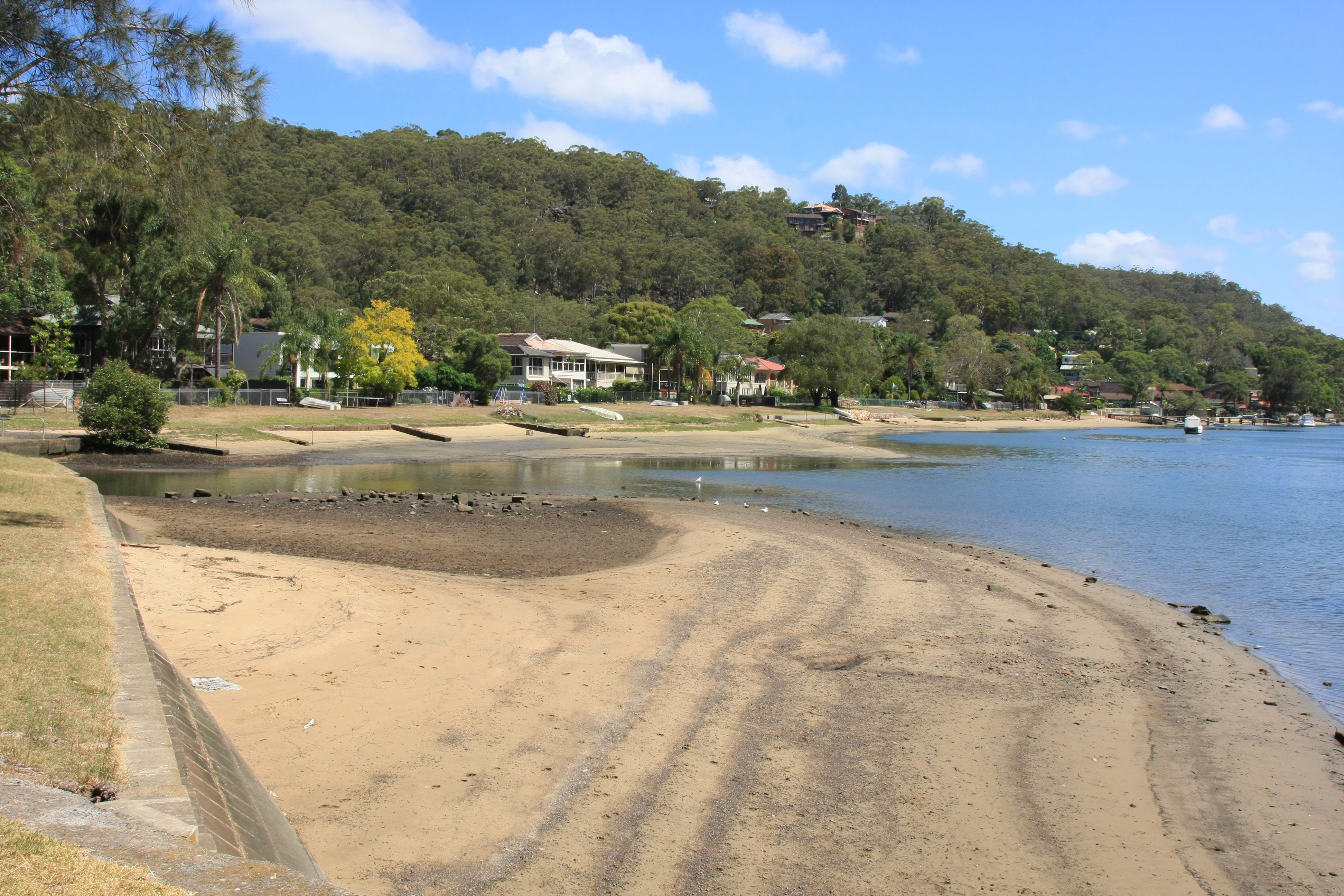 Woronora Water Level